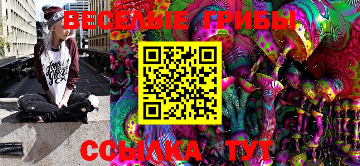 Галлюциногенные грибы Cubensis  Галлюциногенные грибы GOLDEN TEACHER  Обь  Вход с VPN 
